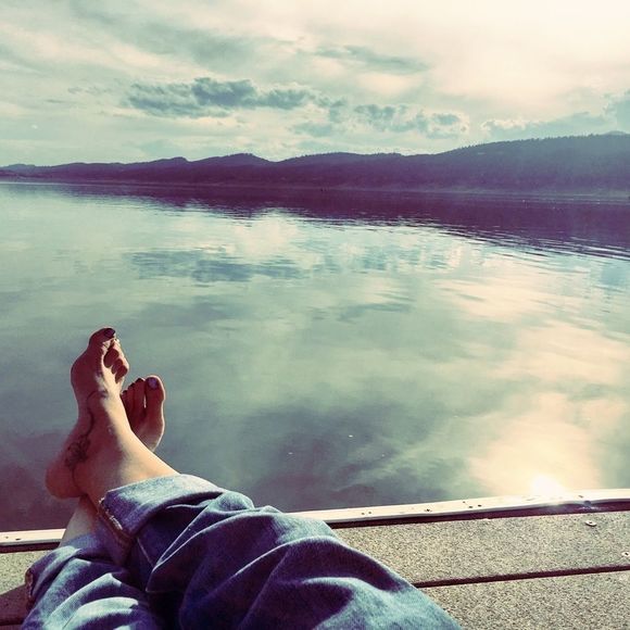 About Wild Arrow - Picture 6 of 6